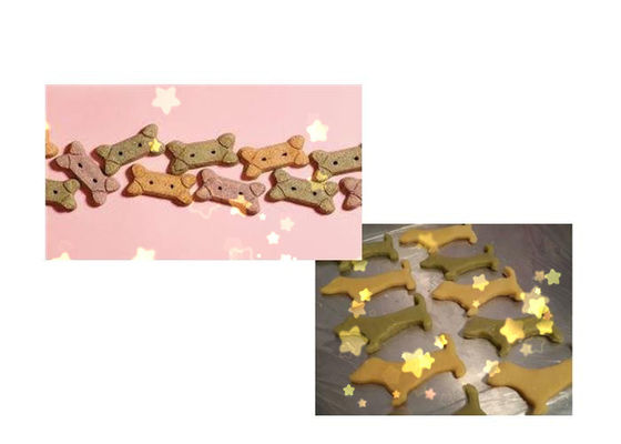 DR -280 de Roestvrij staal Gekleurde Machine van de Hondfabricatie van koekjes met Stabiele Prestaties