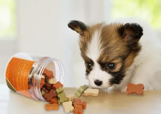 De enige Schroef Extrued 250kg/het Uur35kw Huisdier behandelt Machine