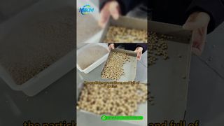 DGP-85 Productielijn voor visvoerpellets | Introductie en volledige procesdemo#visvoerproductielijn