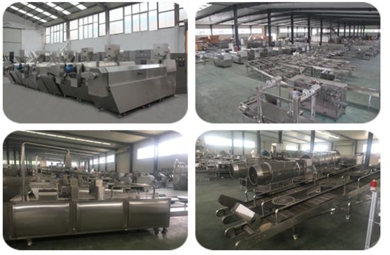 WEG / Siemens Motor Pet Treat Machine met verschillende componenten toegevoegd