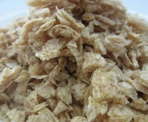 Textured Soja Extruder Machine Processing Line CE goedgekeurd met 150 kg/uur