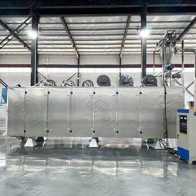 Doppelschroefvoer-extruder Unieke productielijn voor droogvoer voor huisdieren 2 ton/uur