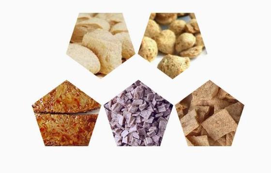 Engelse versie Soja Eiwitlijn / Soya Brokken Machine AutoCAD Formaat