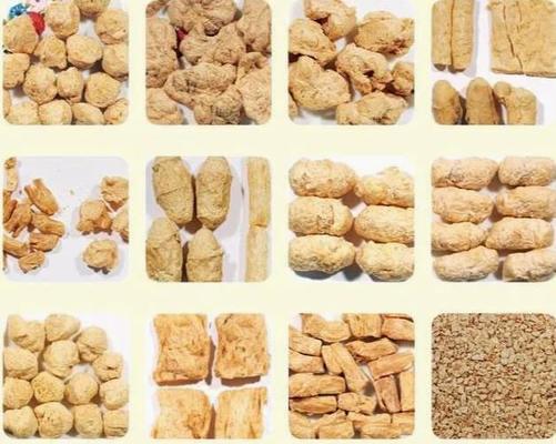 Geweven van de het Voedselextruder van de Vezel Vegetarische Snack het Proceslijn, Uniek Ontwerp, de 5-sterren diensten