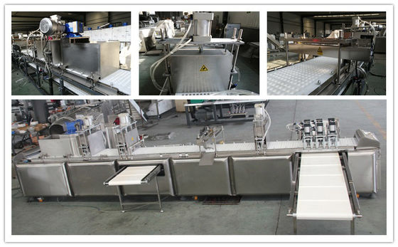 Productielijn 300-500kg/Hr van het roestvrij staal de Schokkerige Voedsel voor huisdieren