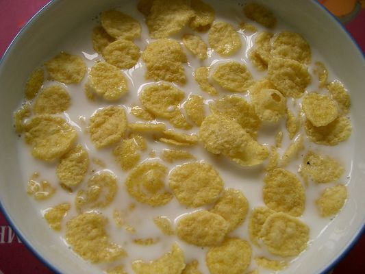 GraangewassenCornflakes die van de de Verwerkingslijn van de Machinesnack PLC van Siemens Touch screen maken