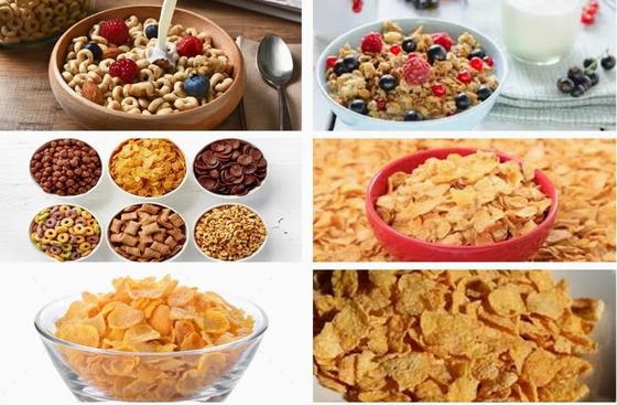 Nieuwe roestvrijstalen maïsvlokken verwerkingslijn Twin Screw Extruder Machine