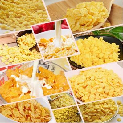 De Extruderproductielijn van de roestvrij staalsnack voor Graangewas/Cornflakes