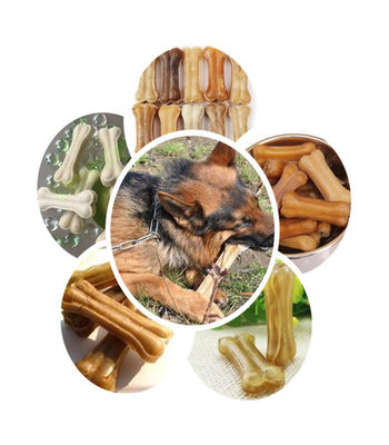 Hydraulische Tand van het de Hondbeen van het Zorgenbeen Maker 2500 x 1200 x 1900mm