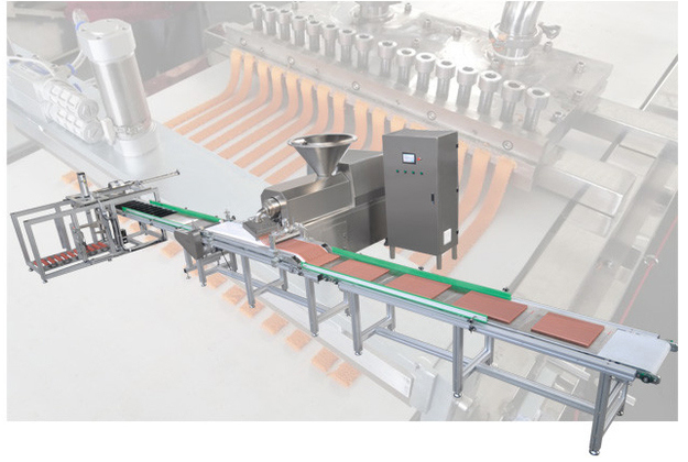 Hoe het Vlees tot Stroken Hete de Productielijnhond heeft gemaakt van het VerkoopVoedsel voor huisdieren Vleesstok Vormt Machine met Goede Kwaliteit behandelen